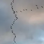Отель Du D'arjuzanx