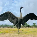 Отель Du D'arjuzanx Arjuzanx