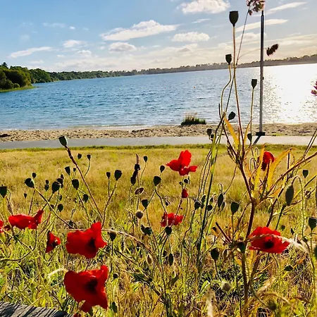 Hotel Du D'arjuzanx 3*