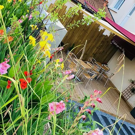 Hotel Du D'arjuzanx Arjuzanx