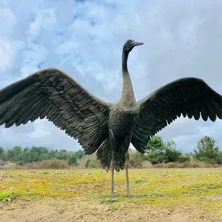 Hotel Du D'arjuzanx Arjuzanx