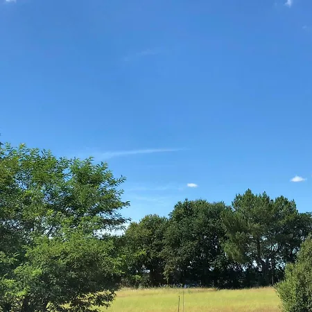 Hotel Du D'arjuzanx Arjuzanx