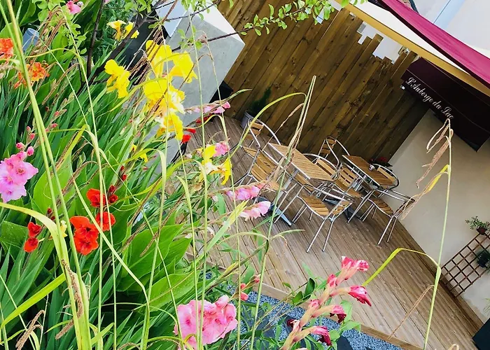 Du D'arjuzanx ホテル 3*