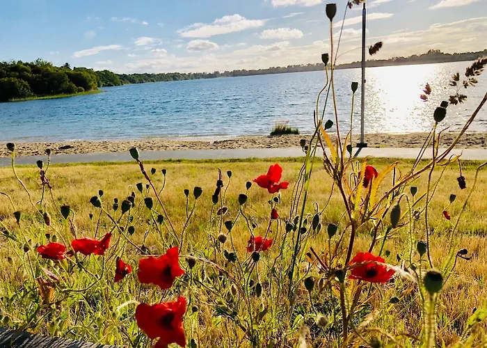 ホテル Du D'arjuzanx 3*