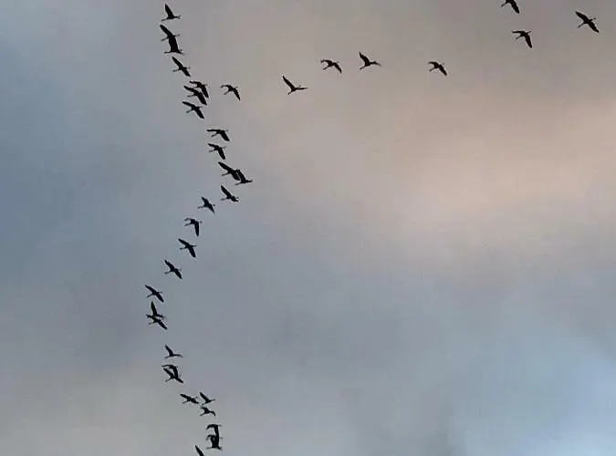 ホテル Du D'arjuzanx