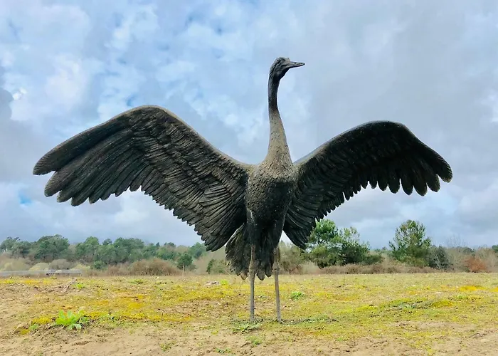 Hotell Du D'arjuzanx Arjuzanx