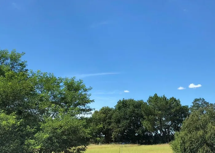 ホテル Du D'arjuzanx アルジュザンウー